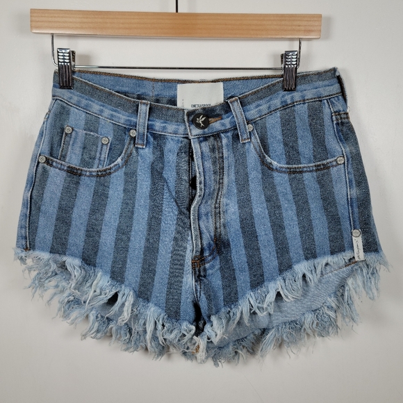 One Teaspoon Zephyr Outlaws Button Fly Pinstripe Shorts Size 24 - Picture 1 of 11